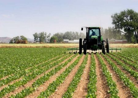 کشاورزان غیربومی چالش جدی فرا روی منابع آبی هستند/ کشت آبدوست در بحران کم آبی شهرستان دورود