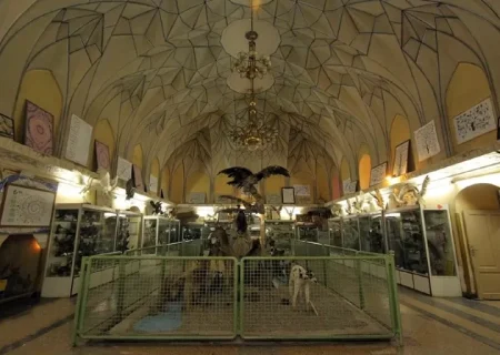 موزه‌ها؛ پل ارتباطی میان نسل‌ها و ملت‌ها