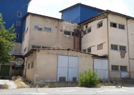 تولید روزانه ۱۲ تن خمیرمایه در کارخانه خمیرمایه دورود
