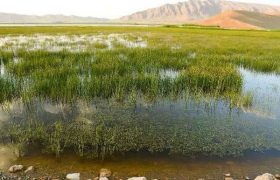 رفع تصرف ۲ هکتار از اراضی تالاب تنوردر در دورود