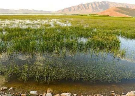 رفع تصرف ۲ هکتار از اراضی تالاب تنوردر در دورود
