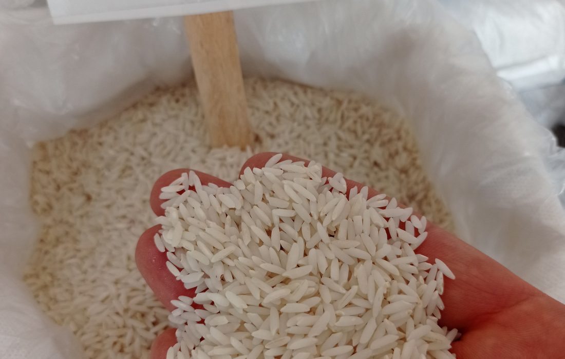 کشت برنج ، معضل بی آبی و افت و منابع زیرزمینی در دورود