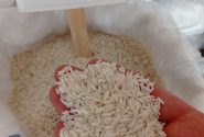 کشت برنج ، معضل بی آبی و افت و منابع زیرزمینی در دورود
