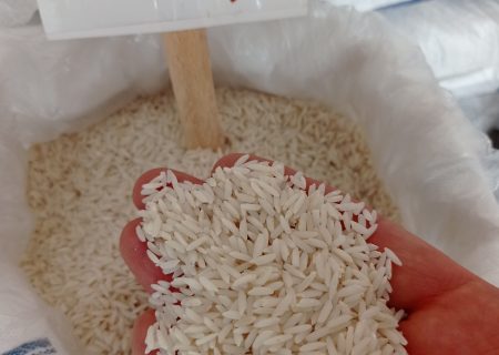 کشت برنج ، معضل بی آبی و افت و منابع زیرزمینی در دورود