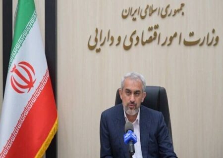 مدنی‌زاده: رقم نهایی افزایش اعتبار کالابرگ به زودی مشخص می‌شود