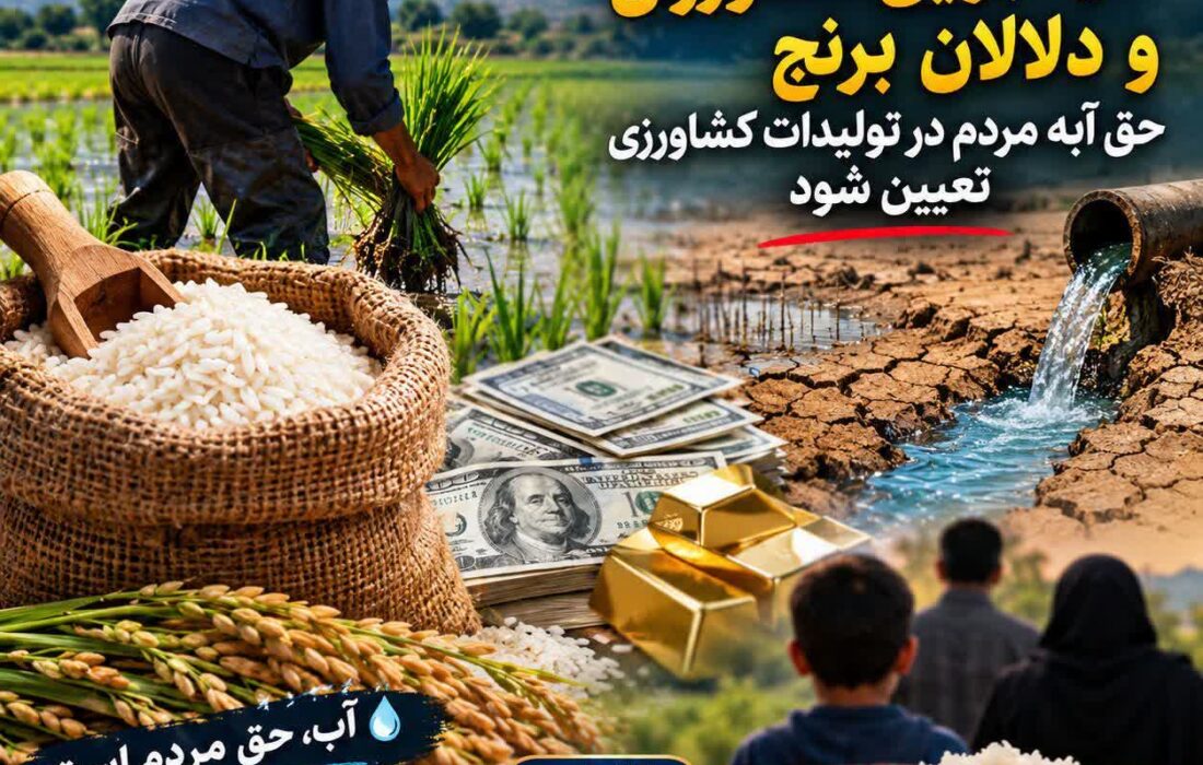 کشت برنج در دورود ، حق آبه مردم قربانی برداشت از منابع آب زیرزمینی !