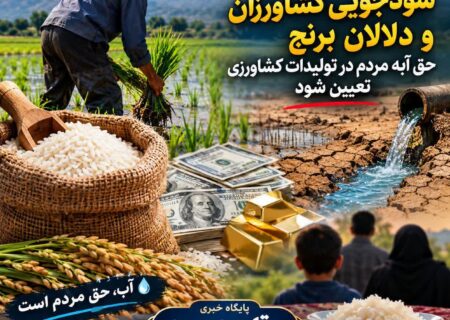 کشت برنج در دورود ، حق‌ آبه مردم قربانی برداشت از منابع آب زیرزمینی !